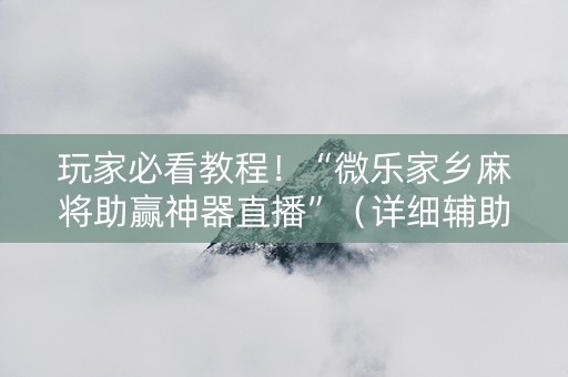 玩家必看教程！“微乐家乡麻将助赢神器直播”（详细辅助教程）-哔哩哔哩