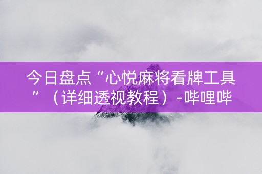 今日盘点“心悦麻将看牌工具”（详细透视教程）-哔哩哔哩