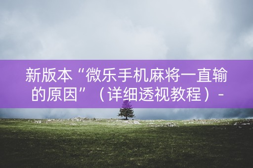 新版本“微乐手机麻将一直输的原因”（详细透视教程）-哔哩哔哩