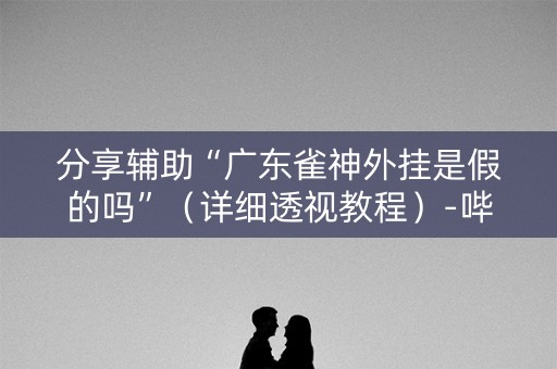 分享辅助“广东雀神外挂是假的吗”（详细透视教程）-哔哩哔哩