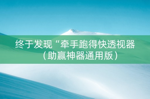终于发现“牵手跑得快透视器（助赢神器通用版）