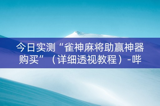 今日实测“雀神麻将助赢神器购买”（详细透视教程）-哔哩哔哩