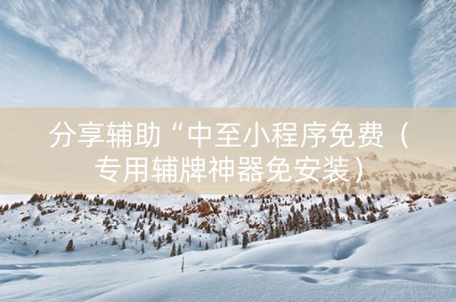 分享辅助“中至小程序免费（专用辅牌神器免安装）