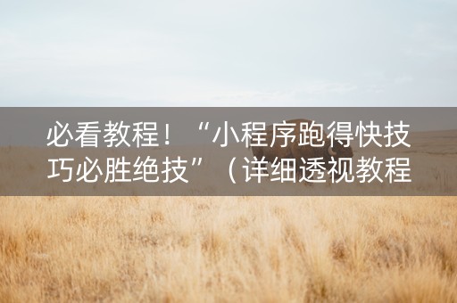 必看教程！“小程序跑得快技巧必胜绝技”（详细透视教程）-哔哩哔哩