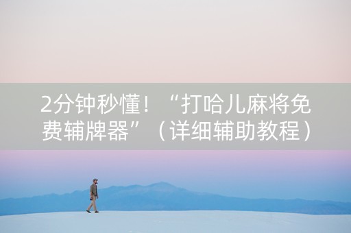 2分钟秒懂！“打哈儿麻将免费辅牌器”（详细辅助教程）-哔哩哔哩
