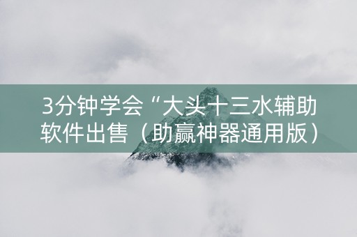 3分钟学会“大头十三水辅助软件出售（助赢神器通用版）