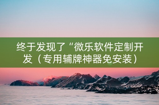 终于发现了“微乐软件定制开发（专用辅牌神器免安装）
