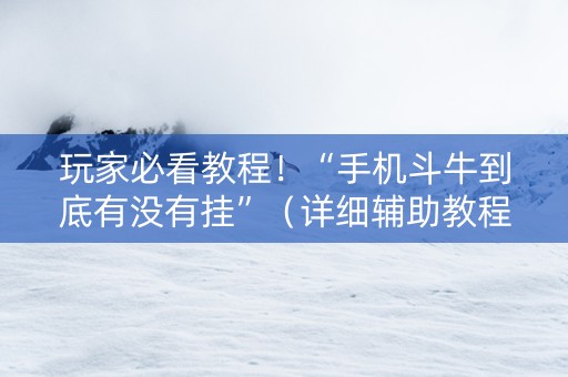 玩家必看教程！“手机斗牛到底有没有挂”（详细辅助教程）-哔哩哔哩