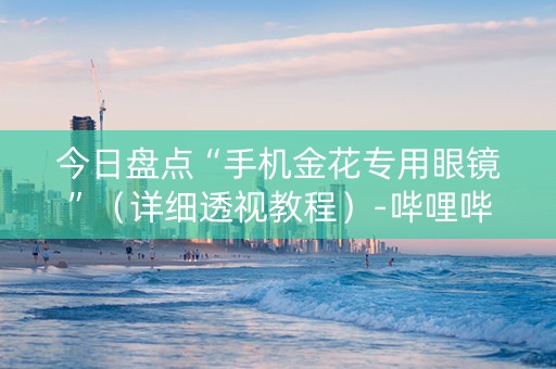 今日盘点“手机金花专用眼镜”（详细透视教程）-哔哩哔哩