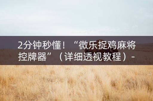 2分钟秒懂！“微乐捉鸡麻将控牌器”（详细透视教程）-哔哩哔哩