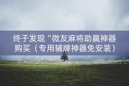 终于发现“微友麻将助赢神器购买（专用辅牌神器免安装）