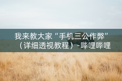 我来教大家“手机三公作弊”（详细透视教程）-哔哩哔哩