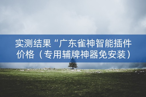 实测结果“广东雀神智能插件价格（专用辅牌神器免安装）