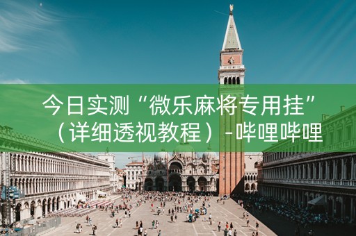 今日实测“微乐麻将专用挂”（详细透视教程）-哔哩哔哩