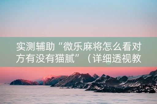 实测辅助“微乐麻将怎么看对方有没有猫腻”（详细透视教程）-哔哩哔哩