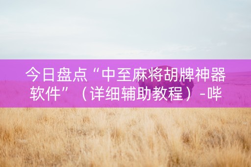 今日盘点“中至麻将胡牌神器软件”（详细辅助教程）-哔哩哔哩
