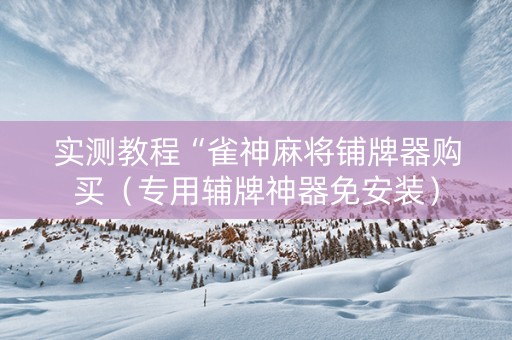 实测教程“雀神麻将铺牌器购买（专用辅牌神器免安装）