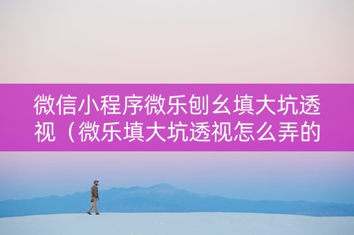 微信小程序微乐刨幺填大坑透视（微乐填大坑透视怎么弄的）
