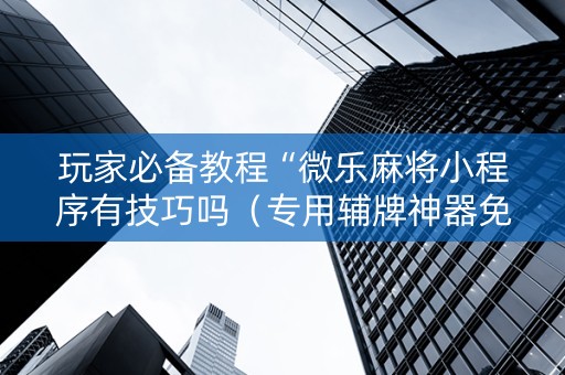 玩家必备教程“微乐麻将小程序有技巧吗（专用辅牌神器免安装）