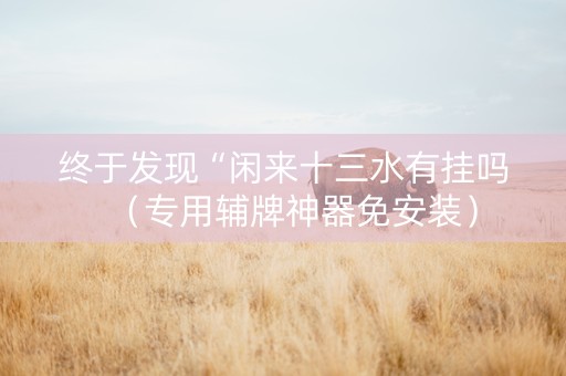 终于发现“闲来十三水有挂吗（专用辅牌神器免安装）