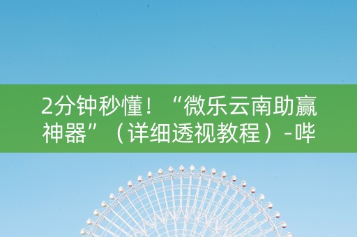 2分钟秒懂！“微乐云南助赢神器”（详细透视教程）-哔哩哔哩