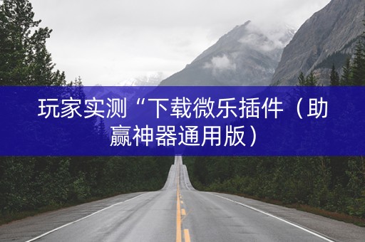 玩家实测“下载微乐插件（助赢神器通用版）