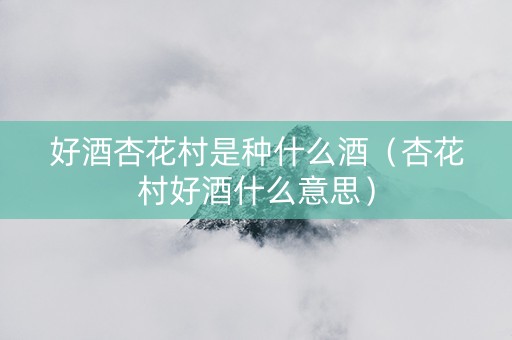 好酒杏花村是种什么酒（杏花村好酒什么意思）
