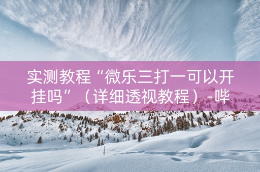 实测教程“微乐三打一可以开挂吗”（详细透视教程）-哔哩哔哩
