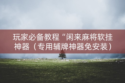 玩家必备教程“闲来麻将软挂神器（专用辅牌神器免安装）