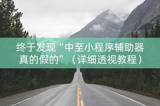 终于发现“中至小程序辅助器真的假的”（详细透视教程）-哔哩哔哩
