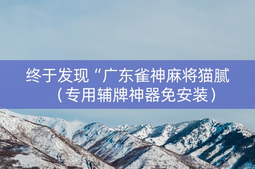 终于发现“广东雀神麻将猫腻（专用辅牌神器免安装）