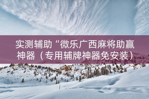 实测辅助“微乐广西麻将助赢神器（专用辅牌神器免安装）