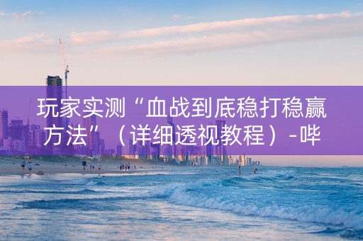 玩家实测“血战到底稳打稳赢方法”（详细透视教程）-哔哩哔哩
