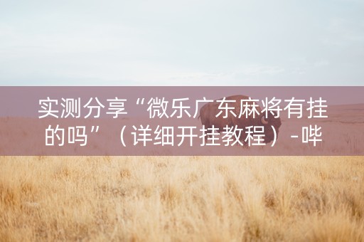 实测分享“微乐广东麻将有挂的吗”（详细开挂教程）-哔哩哔哩