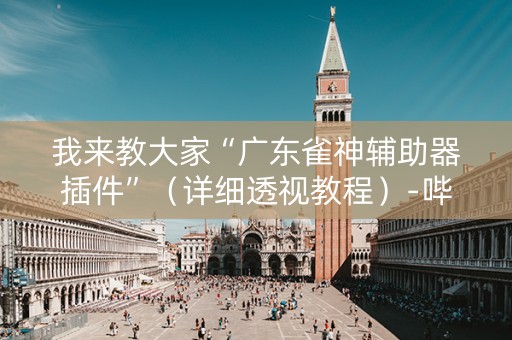 我来教大家“广东雀神辅助器插件”（详细透视教程）-哔哩哔哩