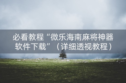 必看教程“微乐海南麻将神器软件下载”（详细透视教程）-哔哩哔哩