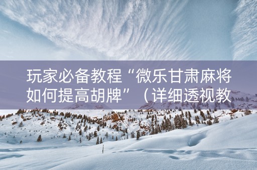 玩家必备教程“微乐甘肃麻将如何提高胡牌”（详细透视教程）-哔哩哔哩