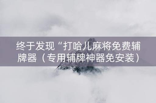 终于发现“打哈儿麻将免费辅牌器（专用辅牌神器免安装）