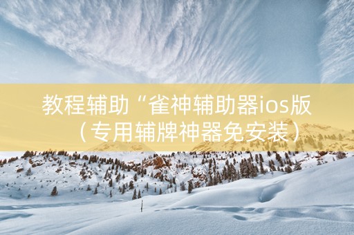 教程辅助“雀神辅助器ios版（专用辅牌神器免安装）