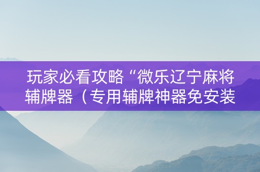 玩家必看攻略“微乐辽宁麻将辅牌器（专用辅牌神器免安装）