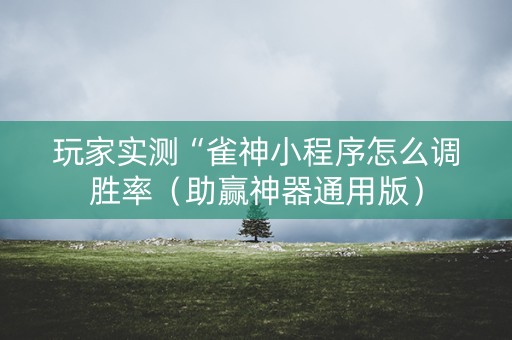 玩家实测“雀神小程序怎么调胜率（助赢神器通用版）