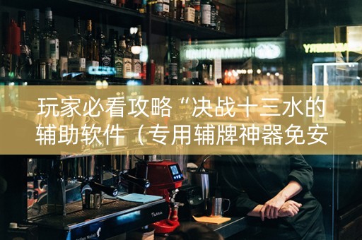 玩家必看攻略“决战十三水的辅助软件（专用辅牌神器免安装）