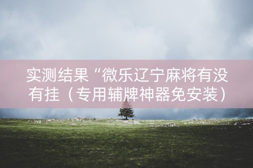 实测结果“微乐辽宁麻将有没有挂（专用辅牌神器免安装）