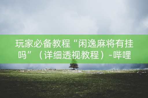 玩家必备教程“闲逸麻将有挂吗”（详细透视教程）-哔哩哔哩