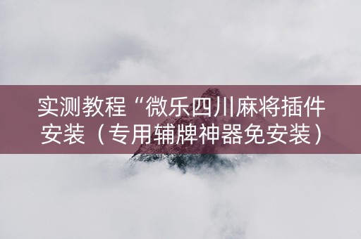 实测教程“微乐四川麻将插件安装（专用辅牌神器免安装）