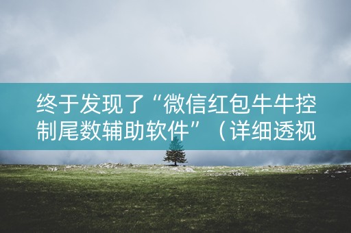 终于发现了“微信红包牛牛控制尾数辅助软件”（详细透视教程）-哔哩哔哩