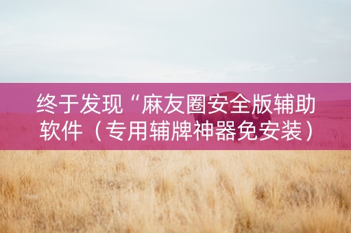 终于发现“麻友圈安全版辅助软件（专用辅牌神器免安装）