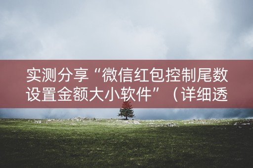 实测分享“微信红包控制尾数设置金额大小软件”（详细透视教程）-哔哩哔哩