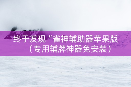 终于发现“雀神辅助器苹果版（专用辅牌神器免安装）
