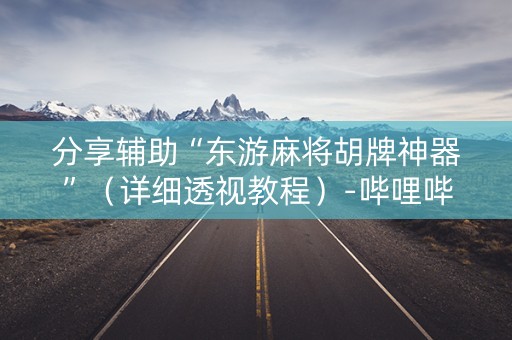 分享辅助“东游麻将胡牌神器”（详细透视教程）-哔哩哔哩